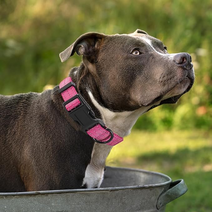 Mile High Life Night Reflective Double Adjustable Band Nylon Small Puppy Pet Dog Combo Collar Leash and Harness Set (Reflective Solid Pink, Large (Pack of 3))