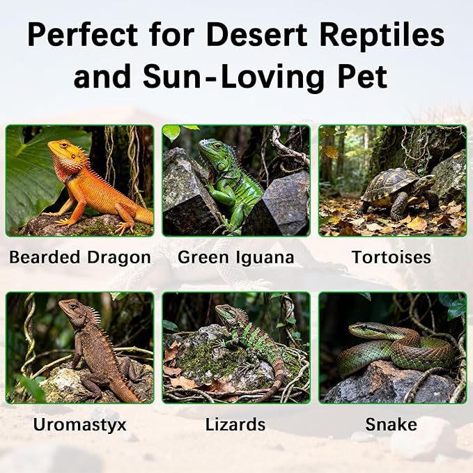 T5 10.0 UVB Reptile Light Fixture Combo Kit, 24W High Output UVA UVB Light with Upgraded Wider Alloy Reflector for Bearded Dragons Lizards Tortoises and Other Desert or Tropical Reptiles (22.7Inch)
