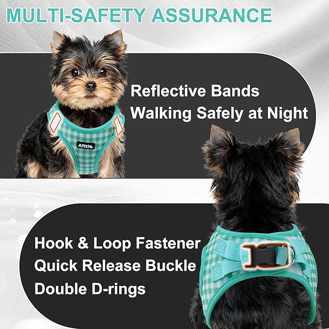 AIITLE Adjustable Dog Harness and Leash Set, Step in No Pull Pet Harness, Soft Mesh Reflective Plaid Vest Harnesses for Small Dogs Puppy and House Cats Outdoor Walking Running Turquoise XS