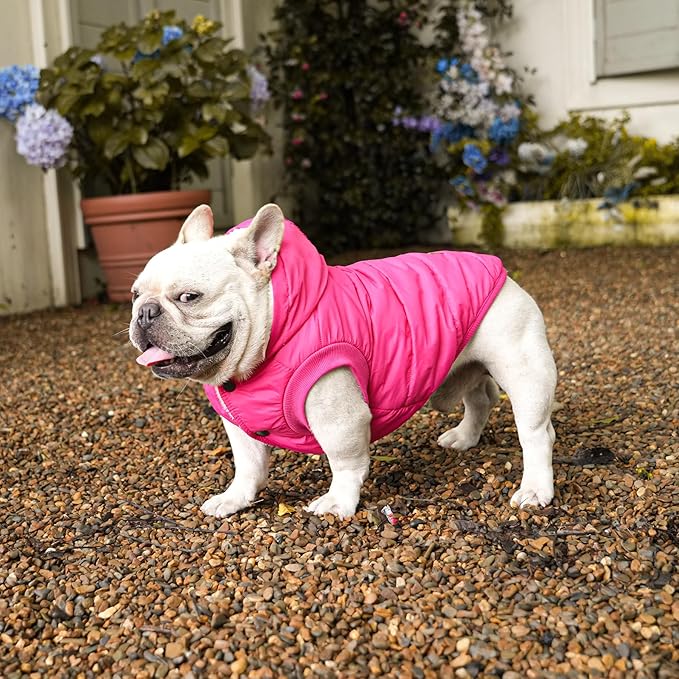 Vecomfy Fleece Lining Extra Warm Dog Hoodie in Winter for Large Dogs Jacket Pet Coats with Hooded Pink XL