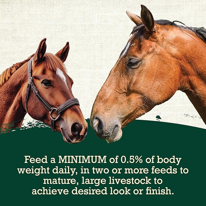 Active Series High Fat Horse Feed - 40 lb Bag, Energy-Dense Daily Horse Feed for Active and Working Horses, Designed to Support Body Condition and Consistent Performance Feeding Programs