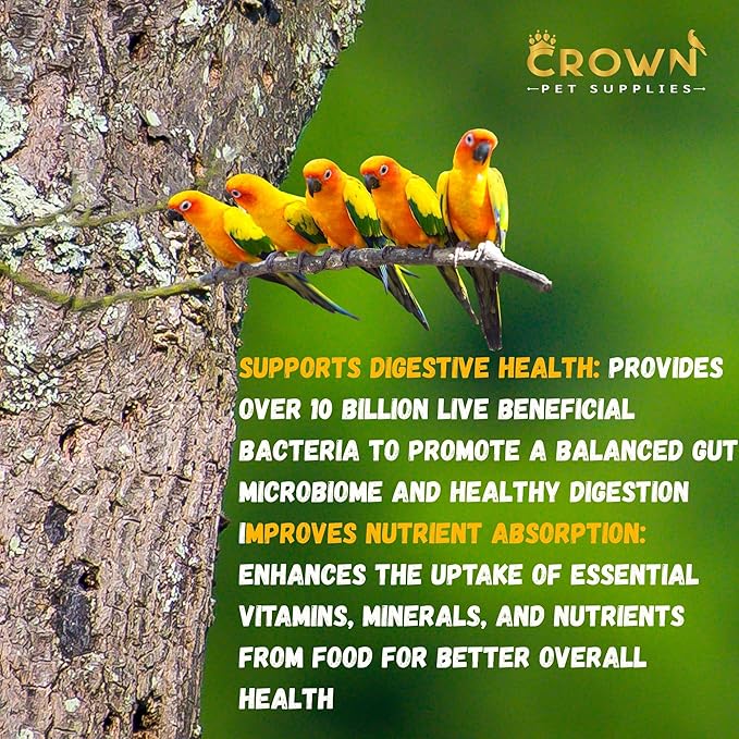 Probiotic Powder for Birds – 10 Billion CFU with Bacillus & Yeast Cultures – Supports Gut Health, Digestion, Growth, Appetite & Nutrient Absorption - 100 grams Powder for Avian & Cage Birds