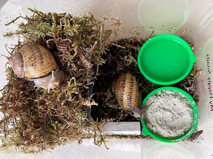 Food for Land Snails - Small Pack 3.5 Oz (100 Grams) - with Organic Calcium, Vitamins, and Minerals. Great for Giant African Land Snails, Helix Pomatia, Aspersa, Muller Other Garden Snails