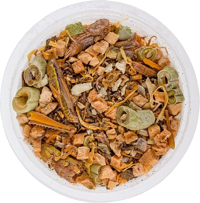 Healthy Herp Bearded Dragon Food Instant Meal for Reptiles - Nutritious Bearded Dragon Accessories, Bearded Dragon Food - Made in USA - for Box Turtles, Lizards, Tortoises - 7 x 0.2 oz (5.7g) Cups