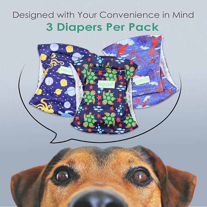 wegreeco Washable Dog Diapers - Washable Male Dog Belly Wrap - Pack of 3 (Turtle, X-Large)
