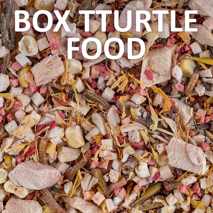 Healthy Herp Box Turtle Food Instant Meal for Reptiles - Nutritious Turtle Food, Tortoise Habitat Accessories - Made in USA - for Box Turtles, Lizards, Tortoises - Variety Pack (14 Cups & 1 Dish)