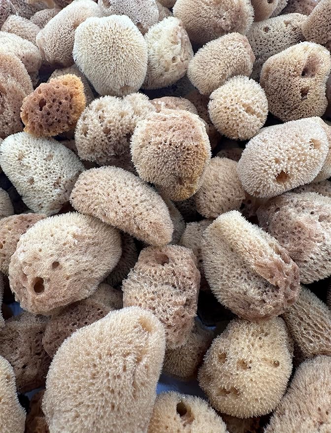 Awesome Aquatic Unbleached Natural Hermit Crab Sponges 5 Pack Natural Sea Sponge Maintains Humidity Drinking Water Safety Provides Nutrients (Unbleached 5 Pk)