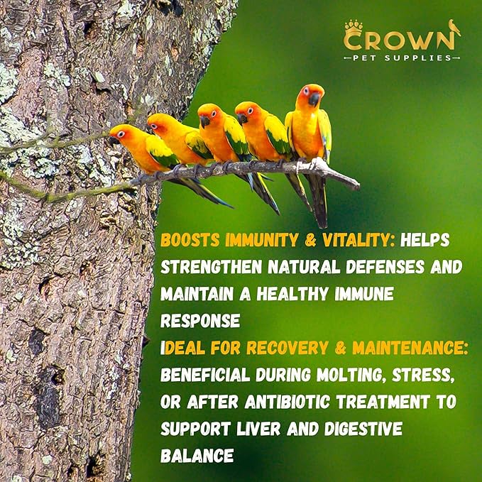 Liver Support Supplement for Birds – 100g Vitamin & Herbal Blend with Milk Thistle, Amino Acids & B Vitamins – Supports Detox, Digestion, Eye Health & Metabolism