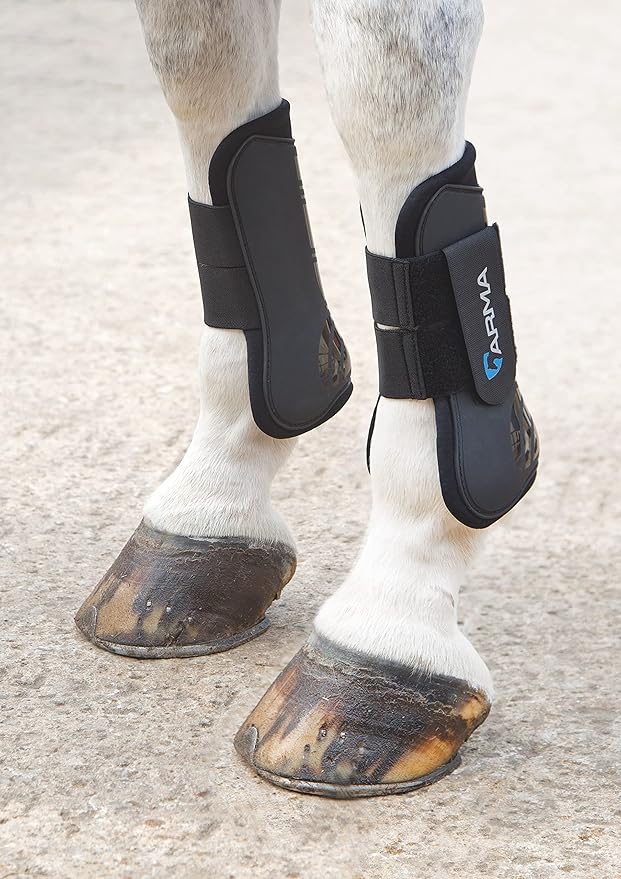 Shires ARMA Tendon Boot