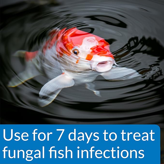 PondCare® PimaFix Antifungal Remedy for Koi & Goldfish (16 oz.)