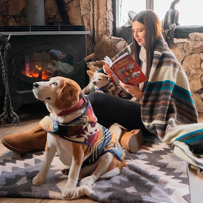 Dog Clothes Medium Sized - Hand Made Sweater - Dog Poncho - Knitted by Artisans in The Heart of The Mountains of Ecuador - Winter Hoddie Outfit - Pet Costume