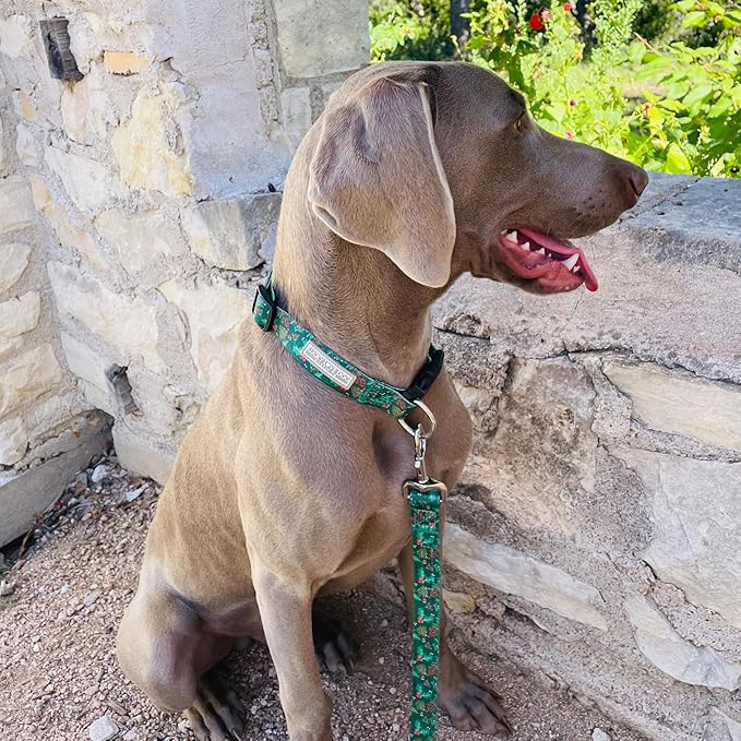 Lucky Love Dog - Adjustable Dog Collar with Easy Click Holly for Small Dogs, Durable, & Comfortable for Male & Female Dogs, Pet Collar for Puppies & Adult Dogs - Holly, Small