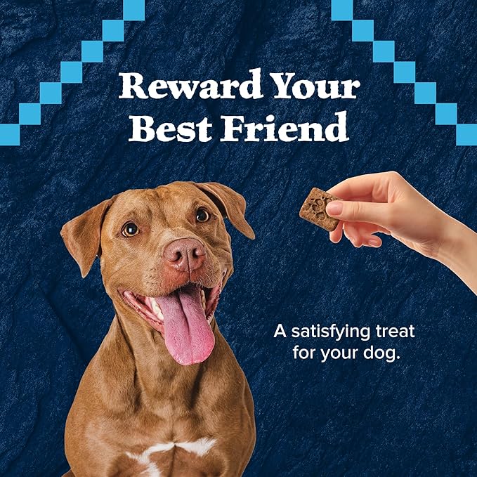 Blue Buffalo Wilderness Trail Treats Crunchy Dog Biscuits Grain-Free and High-Protein Dog Treats, Turkey Recipe 36-oz Box (Pack of 3)