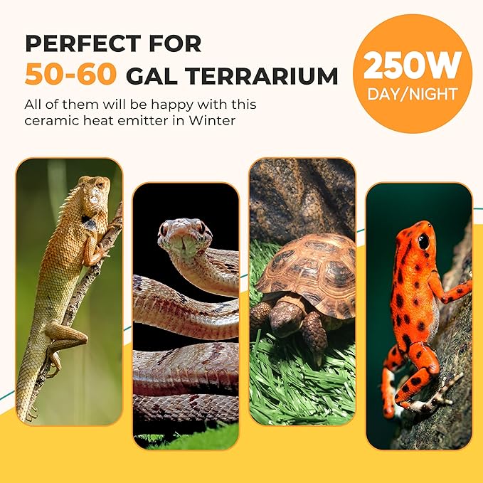 250W Reptile Heat Lamp Bulbs 2-Pack, Ceramic Heat Emitters for Bearded Dragon Gecko Lizard Turtle Snake, Night Basking Heat Lamp for Amphibian Chicken Pets E26