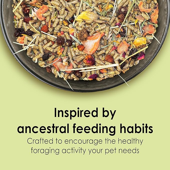 Kaytee Food from The Wild Natural Pet Guinea Pig Food,4 Pound,(Pack of 2)