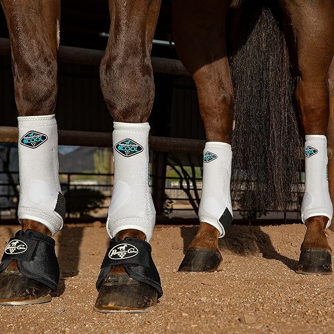Professional's Choice 2XCOOL Sports Medicine Horse Boots | Protective & Breathable Design for Ultimate Comfort & Durability in Active Horses | Value 4 Pack