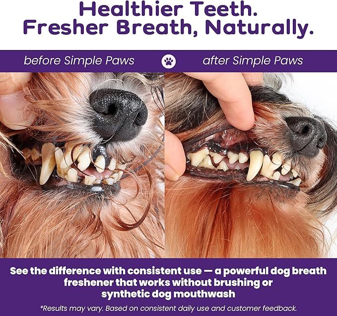 Dog Dental Powder for Teeth Cleaning - Dental Powder for Dogs Teeth – Prevent Dog Bad Breath with Probiotics for Fresh Breath & Oral Health – Chicken Flavored, 60 Scoop Supply