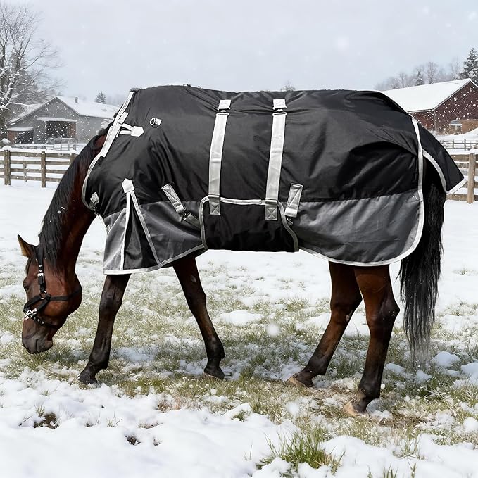 72" Horse Blanket for Real Horses – 1200 Denier Medium Weight Horse Winter Blanket with Standard Neck and Belly Band – Water - Resistant – Black-Grey – 220g Fill