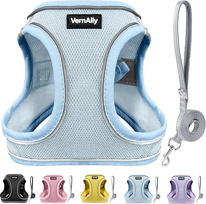 Sparkly Dog Harness Small Sized and Leash Set for Small Dogs Cats,Blue XS Puppy Harness, Step in Soft Dog Reflective Vest, Breathable Mesh Pet Harness. (Blue, XS)