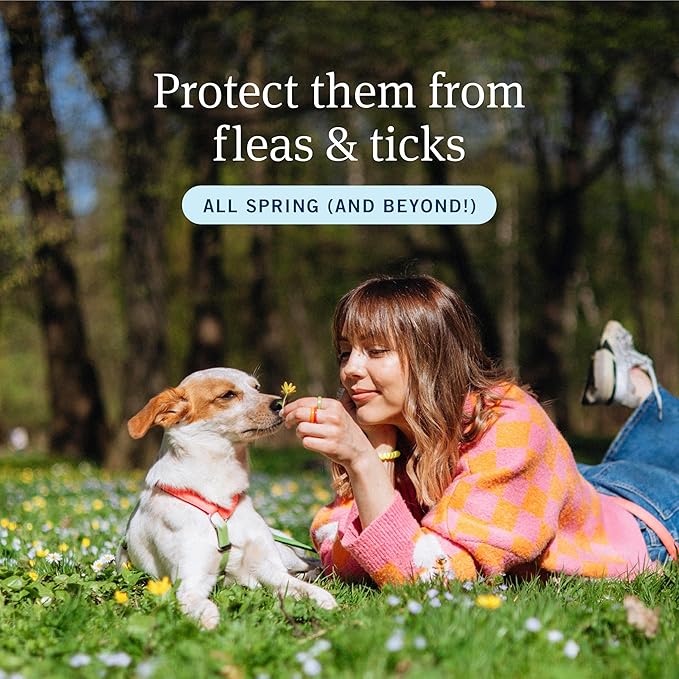 PetArmor Plus Flea and Tick Prevention for Dogs, Medium Dog Flea and Tick Treatment, 3 Doses, Waterproof Topical, Fast Acting (23-44 lbs)