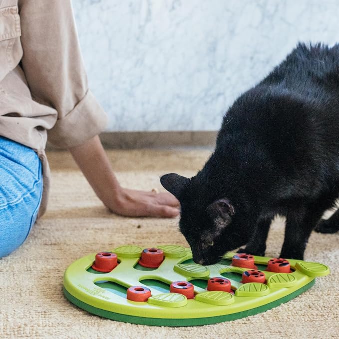Catstages Nina Ottosson Buggin?€? Out Puzzle & Play Cat Toy Treat Puzzle, 14" - Image 8