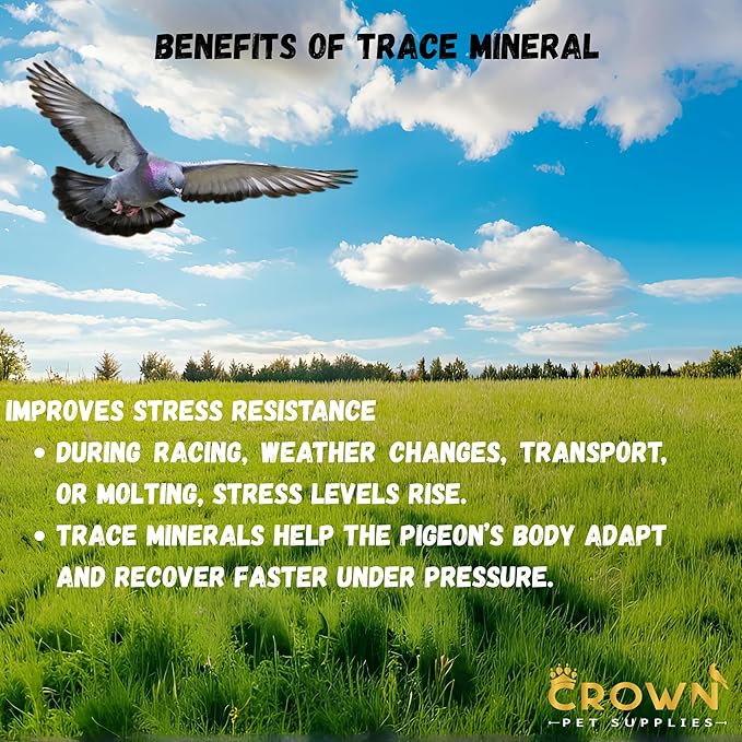 Trace Mineral Powder for Racing Pigeons & All Pigeon Breeds - Supports Physical Development, Growth, Energy, Optimal Metabolism & Overall Vitality