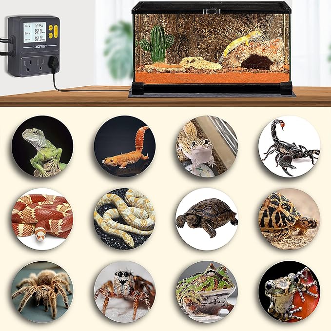 DIGITEN Reptile Temperature Controller with Timer Day-Night,3-Stage Outlet Thermostat Cooling Heating Mode Temperature Controlled for Ball Pythons,Mushroom,Fermentation,Bearded Dragon