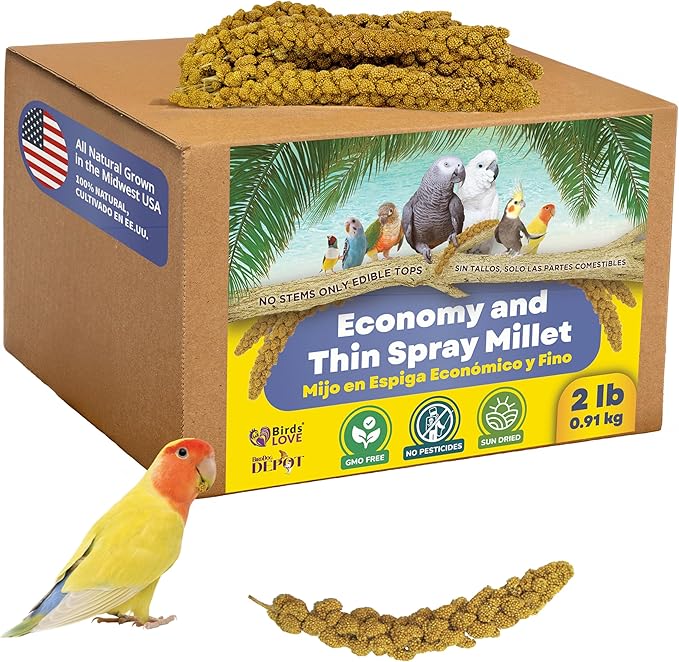 2lbs Economy & Special Spray Millet for Birds – GMO-Free, No Stems (Only Edible Tops) – 100% Natural Sun-Dried Foraging Treat for Cockatiels, Lovebirds, Parakeets, Finches & Canaries