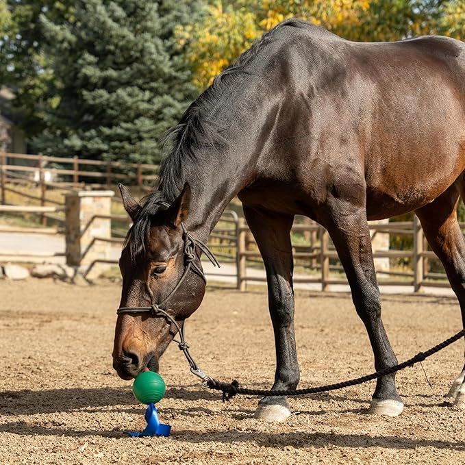PetKORE: KoreFlex Ball & Tail - Horse-Equine Toy, 4.75" Green Ball, Shape Maintaining Rubber, Durable Strap, Treat Stuffing Center, Toss-Bounce-Play