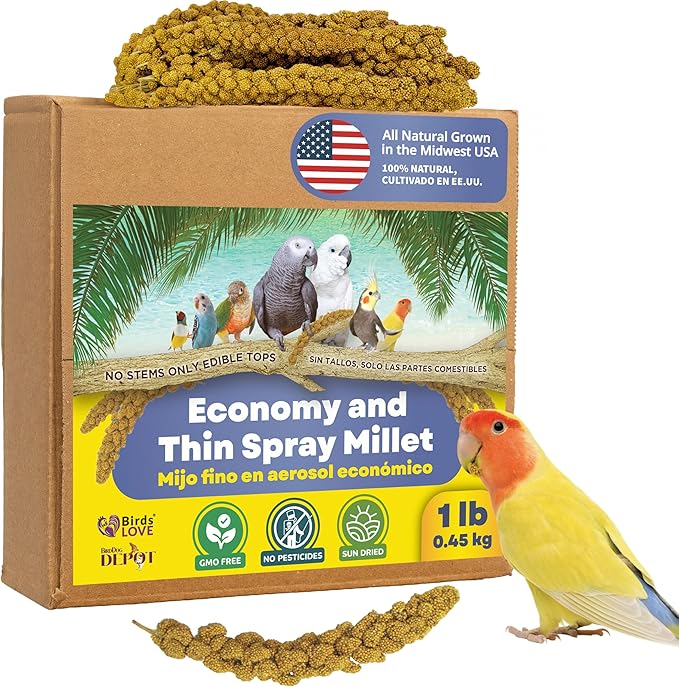 1lb Economy & Special Spray Millet for Birds – GMO-Free, No Stems (Only Edible Tops) – 100% Natural Sun-Dried Foraging Treat for Cockatiels, Lovebirds, Parakeets, Finches & Canaries