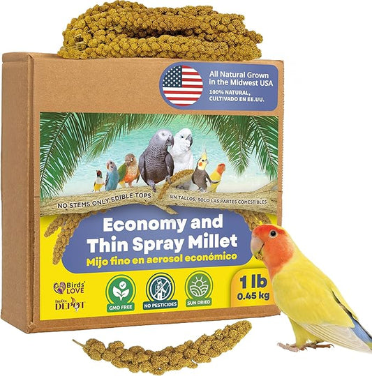 1lb Economy & Special Spray Millet for Birds – GMO-Free, No Stems (Only Edible Tops) – 100% Natural Sun-Dried Foraging Treat for Cockatiels, Lovebirds, Parakeets, Finches & Canaries