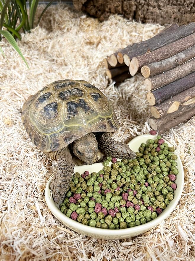 Viovet Reptile Food - Komodo Tortoise Fruit & Flower Diet 170G