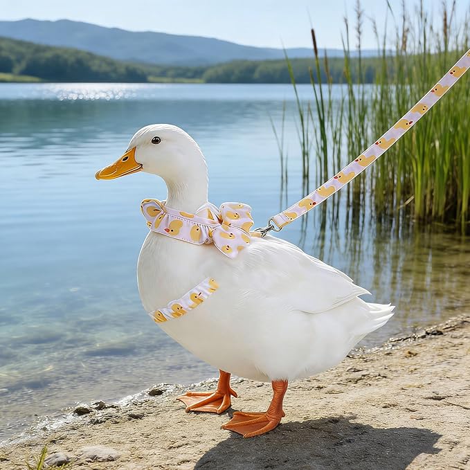 2 Pcs Chicken Leash, Duck Harness and Leash Set, Adjustable Small Animal Harness Leash, Chicken Leash and Harness Set, Chicken Vest Easy to Wear for Goose Duck Training Walking Strap Traction Rope