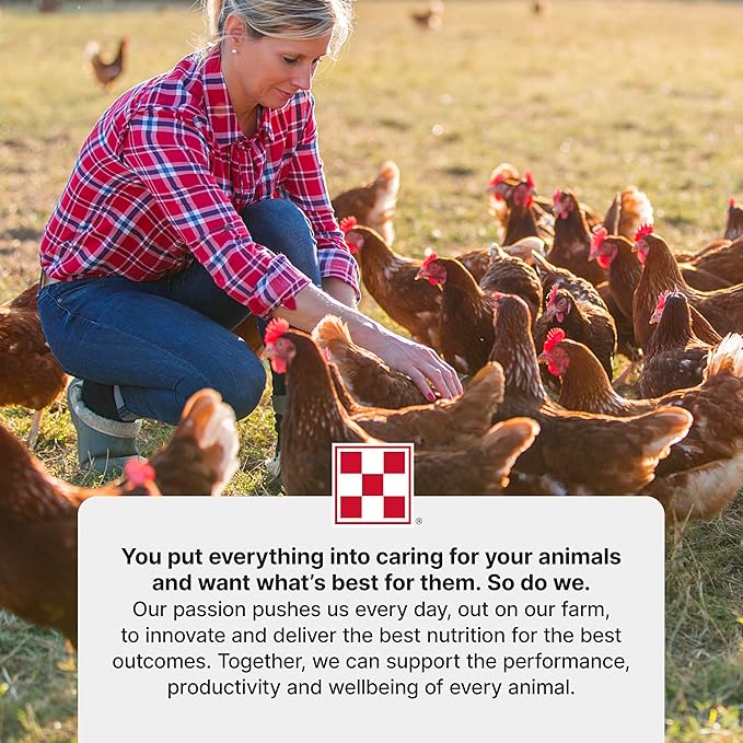 Purina Start & Grow | Nutritionally Complete Medicated Chick Feed Crumbles | 25 Pound (25 lb.) Bag