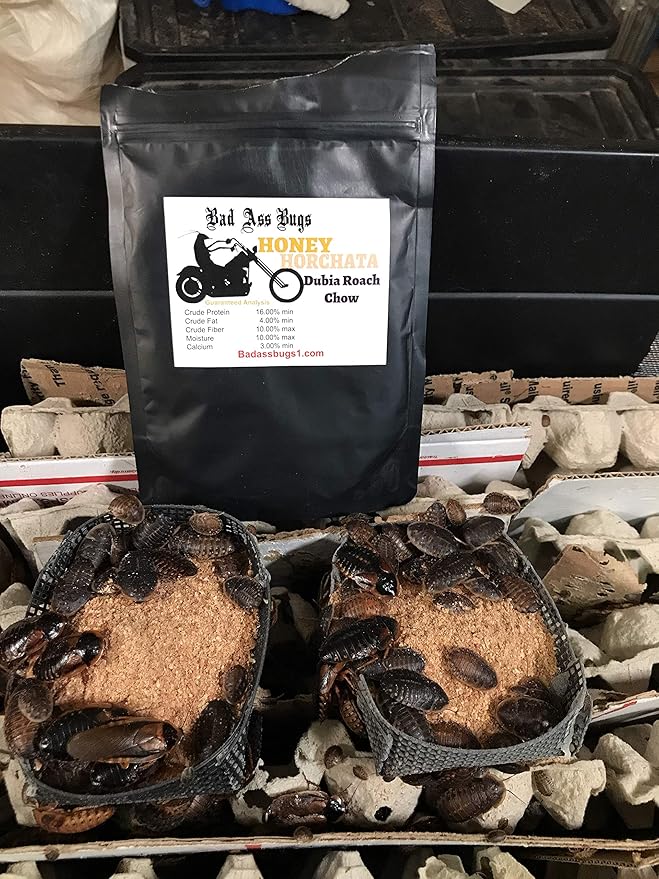 BadAssBugs™ 1LB Dubia Roach Chow Honey Horchata