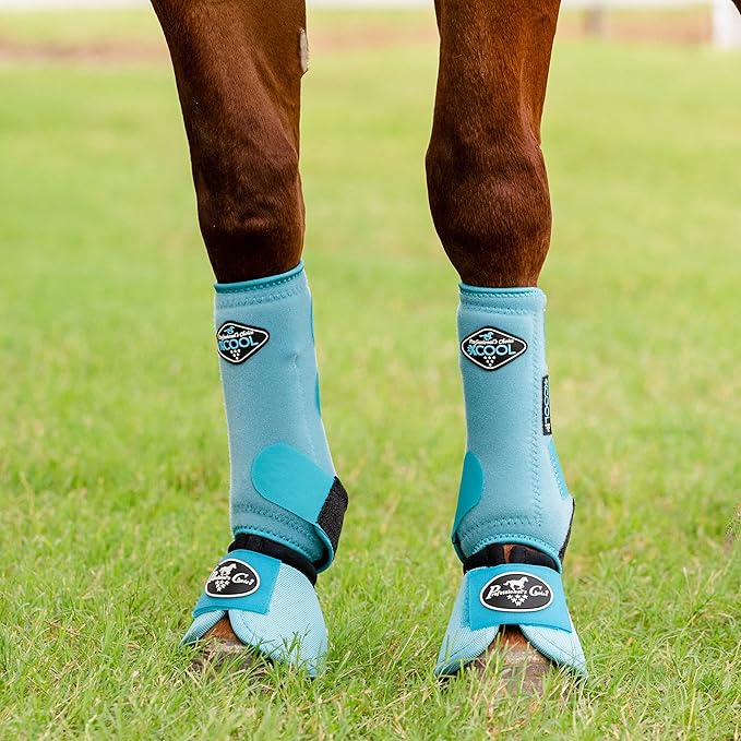 Professional's Choice 2XCOOL Sports Medicine Horse Boots | Protective & Breathable Design for Ultimate Comfort, Durability & Cooling in Active Horses | 2 Pack Large Turquoise