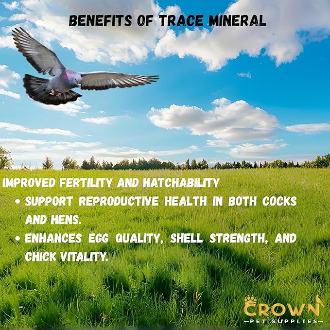 Trace Mineral Powder for Racing Pigeons & All Pigeon Breeds - Supports Physical Development, Growth, Energy, Optimal Metabolism & Overall Vitality