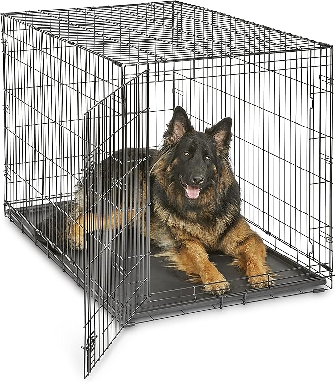 Midwest Homes for Pets 48-Inch New World Crate for Extra-Large Breeds, 90-110 lbs, Single Door Folding Dog Crate, Leak-Proof Tray & Secure Latch, Portable, Durable & Easy to Assemble