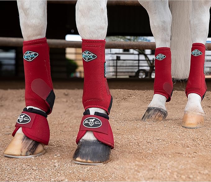 Professional's Choice 2XCOOL Sports Medicine Horse Boots | Protective & Breathable Design for Ultimate Comfort & Durability in Active Horses | Value 4 Pack