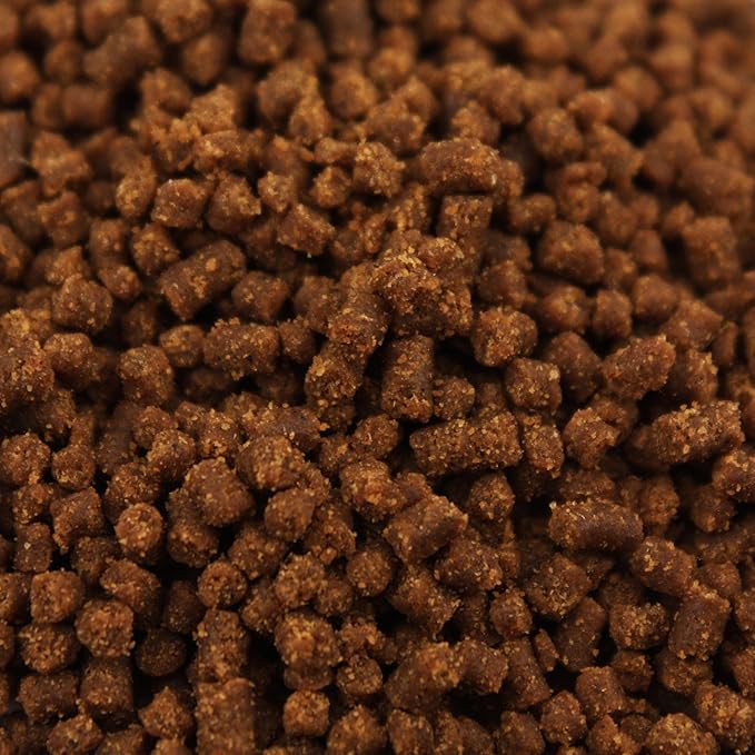Newt & Salamander Bites (1.2 oz)