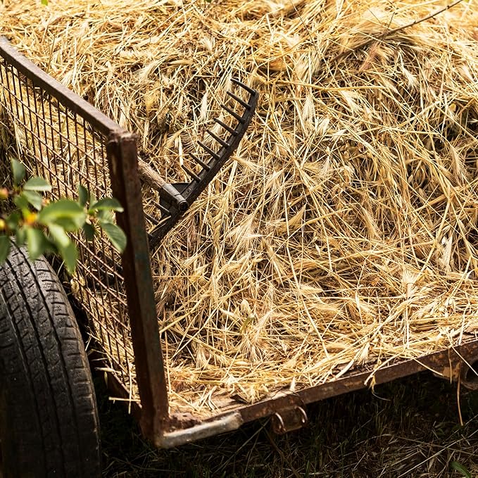 High Desert 2nd Cutting Timothy Hay for Rabbits, Guinea Pigs, Chinchillas and Small Pets, Soft Leafy for Daily Feeding and Digestive Health, Natural Rabbit Food and Guinea Pig Hay for Hay, 8 Lb Box
