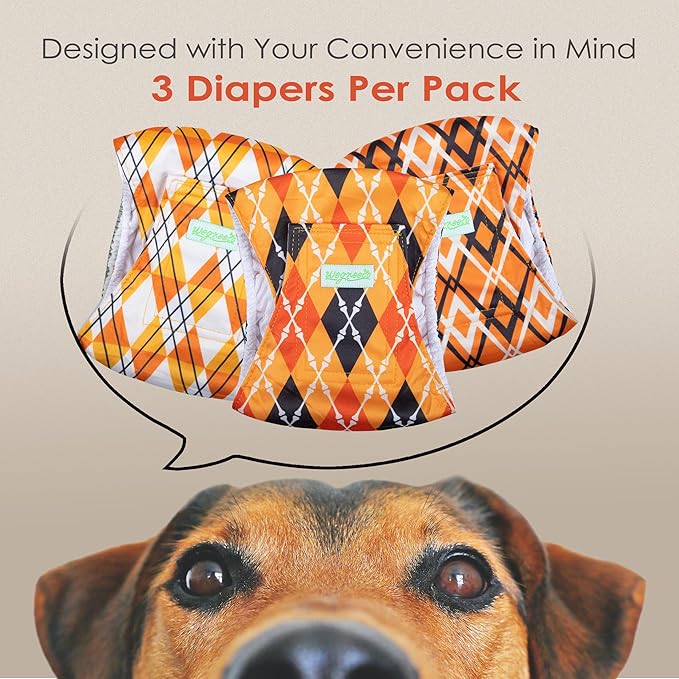 wegreeco Washable Male Dog Belly Band (Stylish Pattern)- Pack of 3 - Washable Male Dog Belly Wrap, Dog Diapers Male (Yellow Geometric, XX-Large)