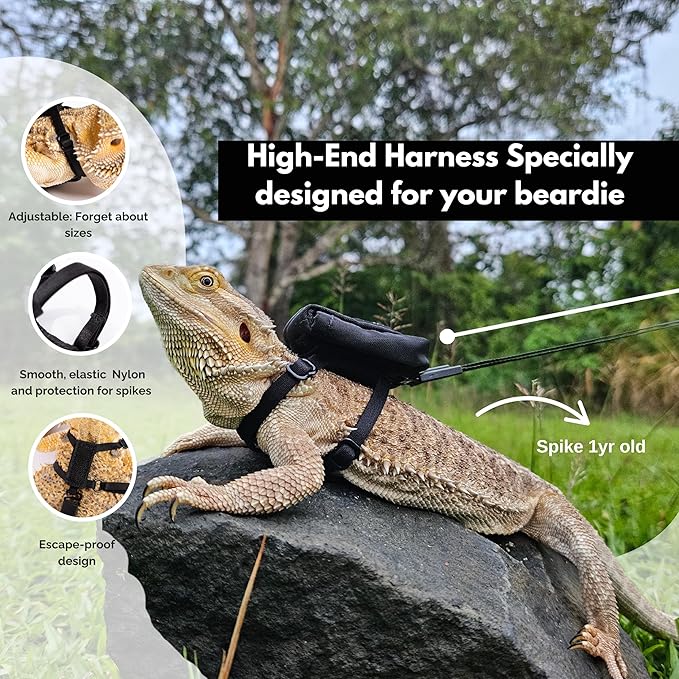 Bearded Dragon Leash and Harness Set, Leopard Gecko Leash, Wings & Butterfly Wings, Comfortable Fit, Retractable and Escape-Proof Lizard Harness and Leash, Bearded Dragon Accessories.
