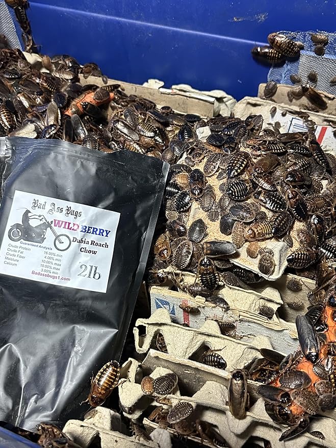 BadAssBugs™ 3LB Dubia Roach Chow Wild Berry