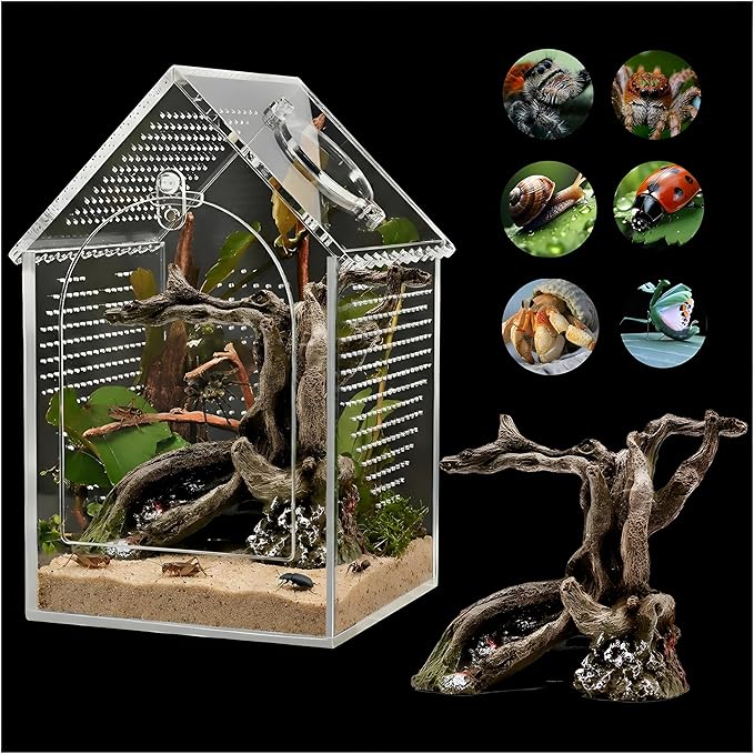 Jumping Spider Enclosure (5" *5" *8") Warp-Proof Seamless Acrylic Tarantula Terrarium with Magnetic Door & Feeding Hatch for Praying Mantis,Snail,Hermit Crabs,Reptile(Includes Decorative Accents)