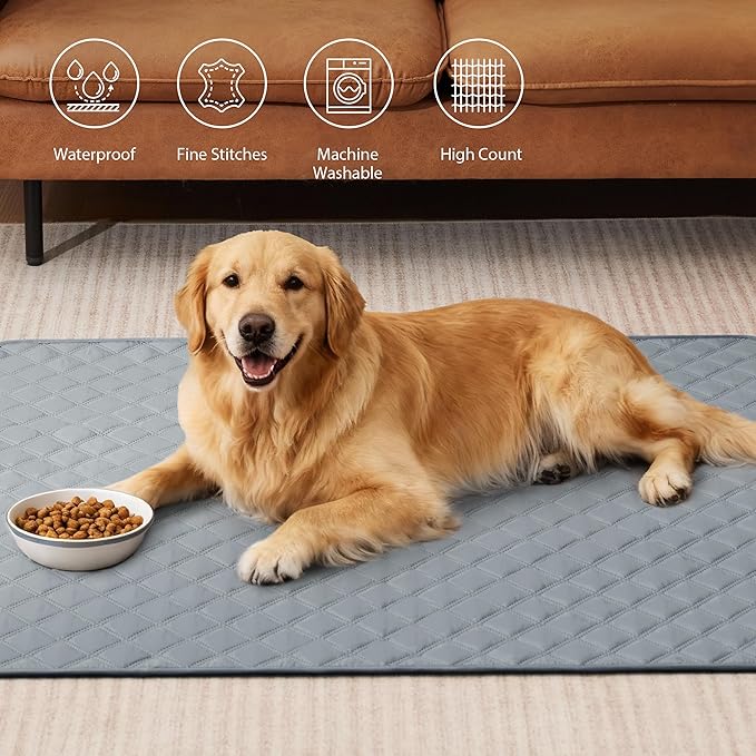 Eterish Reusable Washable Pee Pads for Dogs Extra Large 47'' x 47'' 2 Pack, Absorbent Pet Puppy Dog Training Pads Non-Slip, Waterproof Whelping Potty Pads for Dogs Leak-Proof