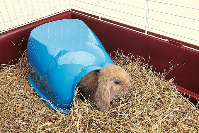 Savic Cocoon Small Animal House for Dwarf Rabbits, Guinea Pigs, Ferrets, Rats and More (Blue)