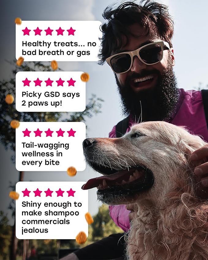 24-in-1 Daily Multivitamin Dog Chews – Joint, Skin & Coat, Digestion & Immunity Support – Glucosamine, Omega-3, Probiotics for Gut Health – PhD-Endorsed, 140 Chews, Bacon Flavor