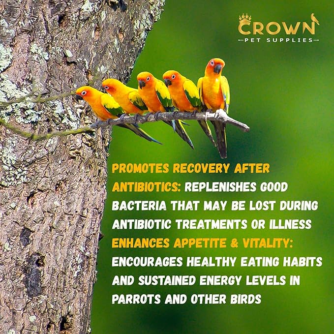 Probiotic Powder for Birds – 10 Billion CFU with Bacillus & Yeast Cultures – Supports Gut Health, Digestion, Growth, Appetite & Nutrient Absorption - 100 grams Powder for Avian & Cage Birds