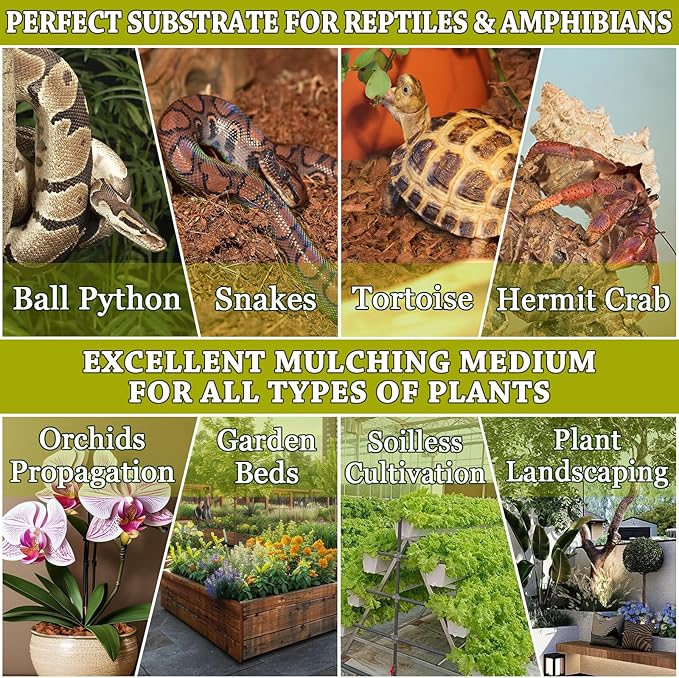 ZeeDix 6 Pack Coconut Husk for Reptiles, Organic Coconut Fiber Reptile Terrarium Substrate, Coco Husk Chips Reptile Bedding for Snakes, Tortoises, Ball Python, Geckos, Lizards, Hermit Crab, Tarantula